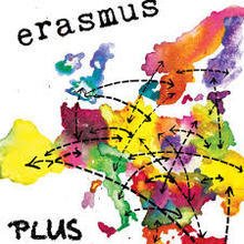 Erasmus traineeship