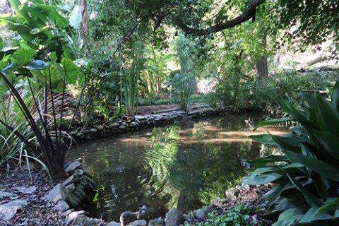 Laghetto Orto Botanico