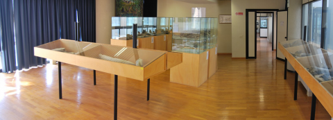 Museo della Fauna