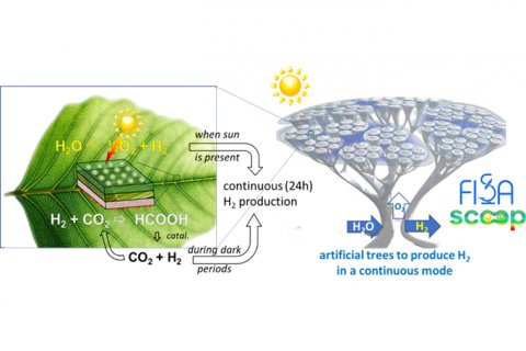 Finanziato dal MUR il progetto SCOOP di UniMe per lo sviluppo di un albero artificiale che produca H2 dall'aria con la luce solare