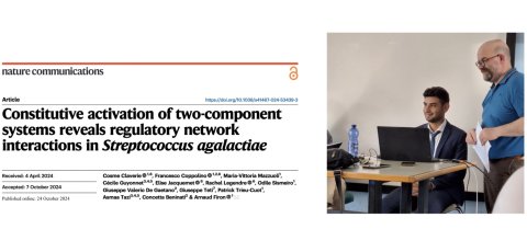 Pubblicata su Nature Communications ricerca unime sui sistemi di regolazione genica batterica per il controllo delle infezioni e le prospettive di cura